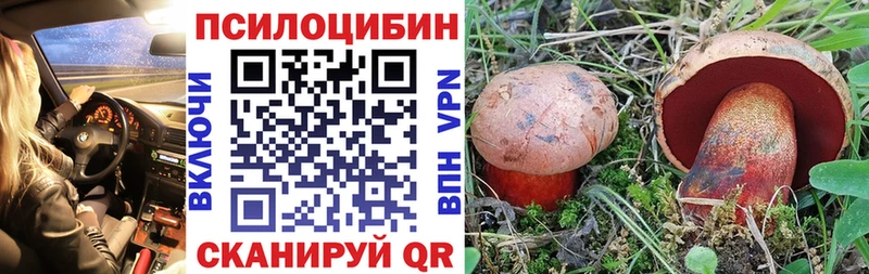 Галлюциногенные грибы GOLDEN TEACHER  купить наркотики цена  Харабали 